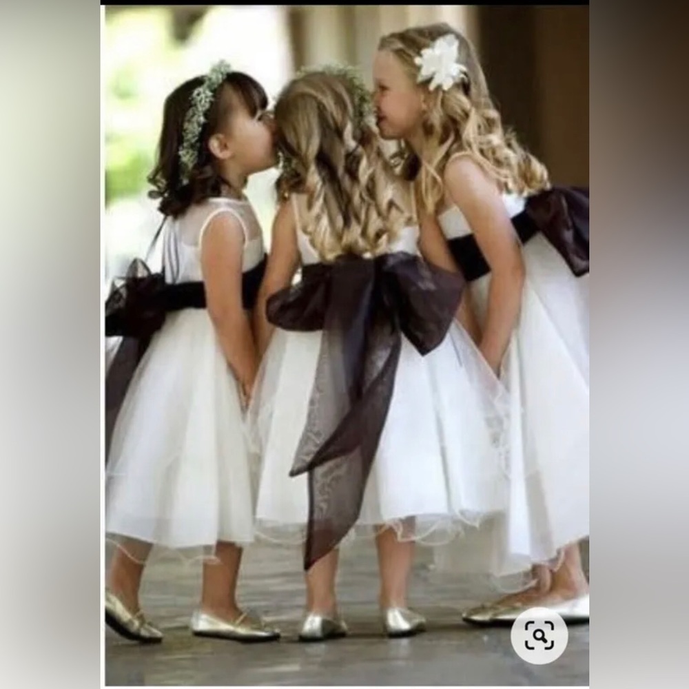 Vera wang  wedding dress belt